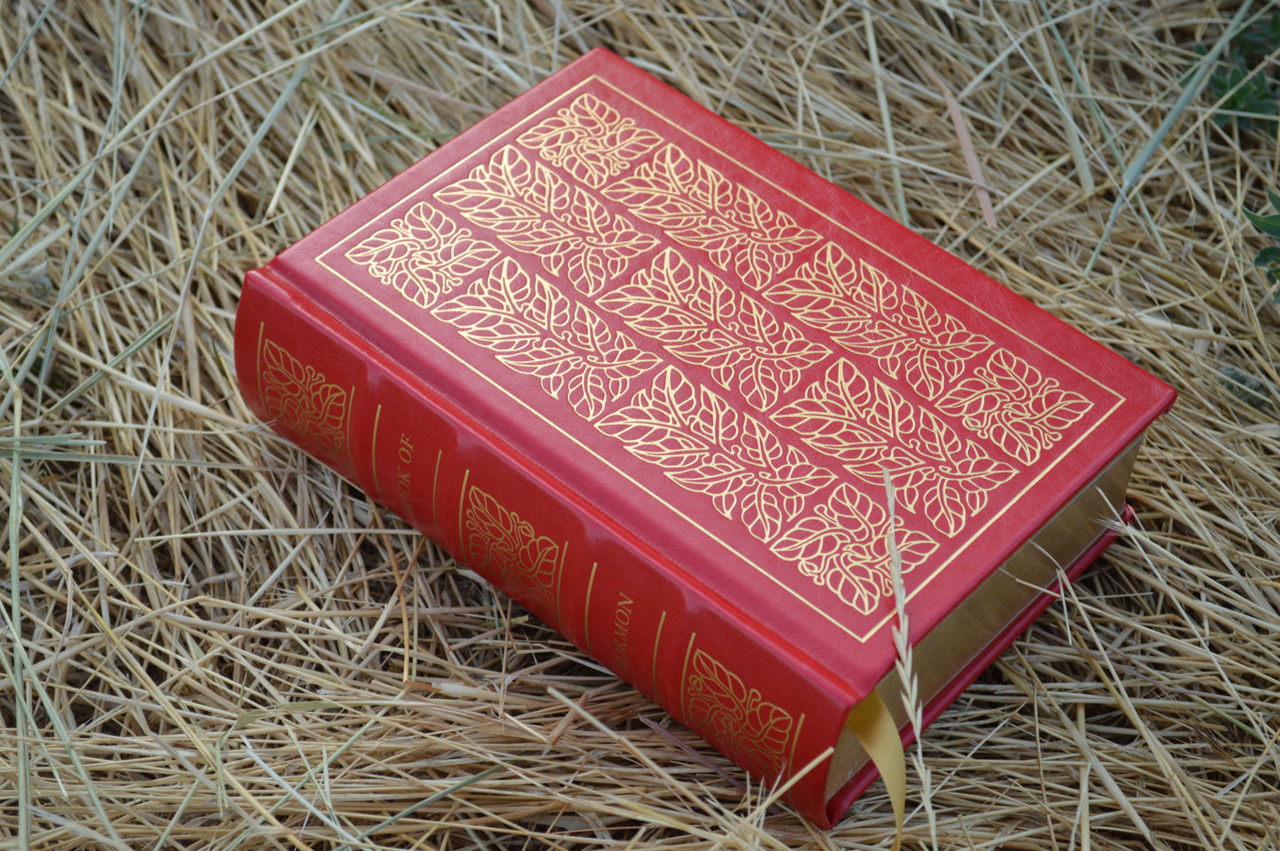 The Book of Mormon: Collector's Edition