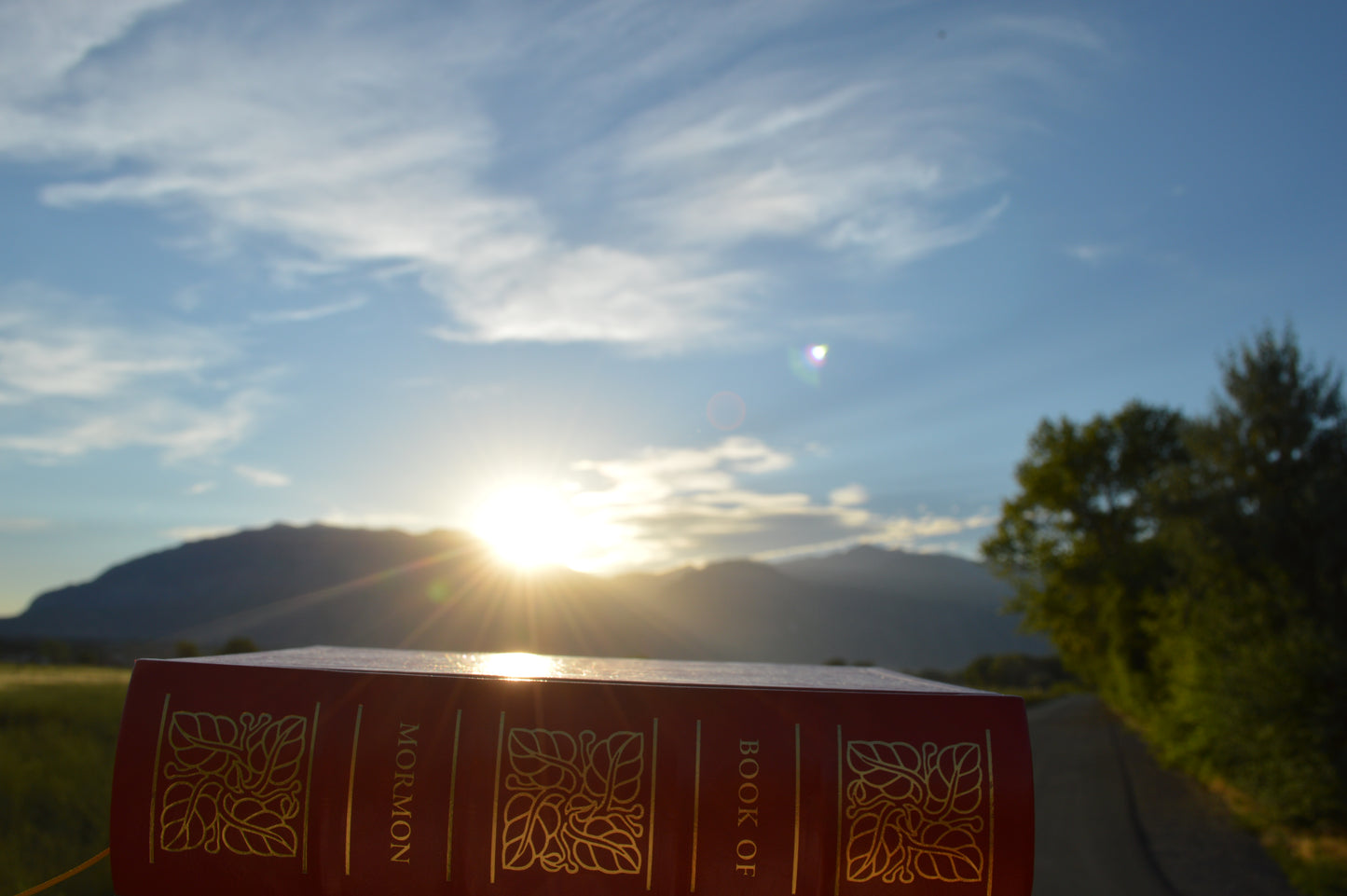 The Book of Mormon: Collector's Edition