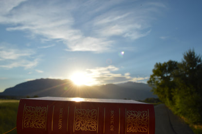 The Book of Mormon: Collector's Edition