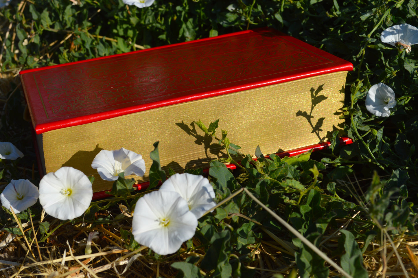 The Book of Mormon: Collector's Edition