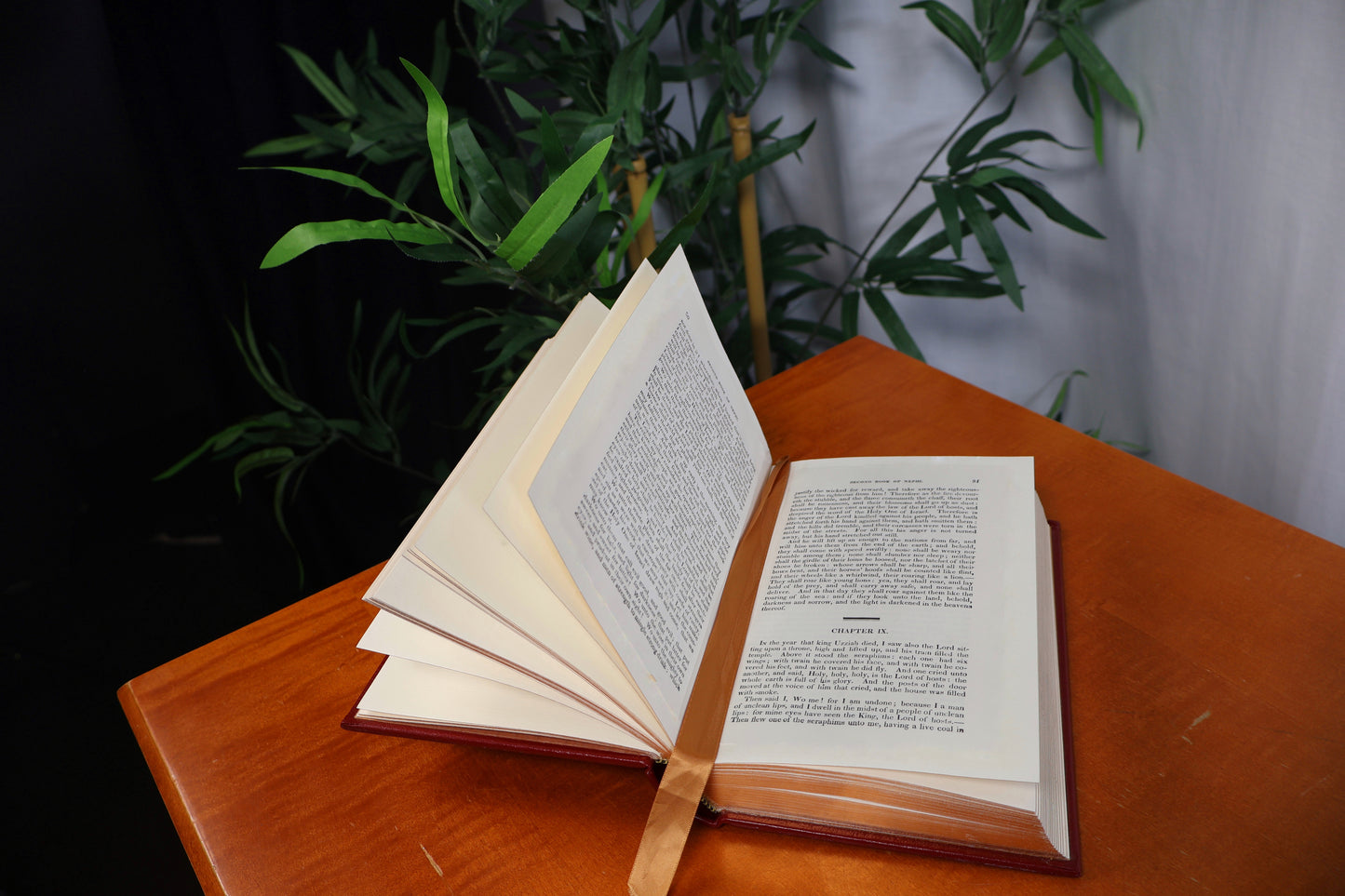 The Book of Mormon: Collector's Edition