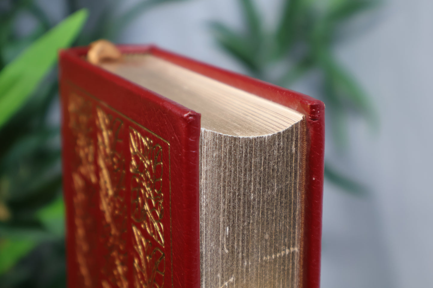 The Book of Mormon: Collector's Edition